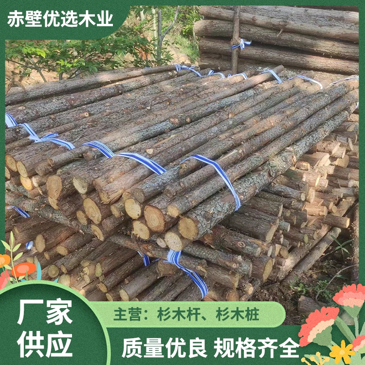 河南杉木桩批发  杉木桩 松木桩 6米绿化支撑杆