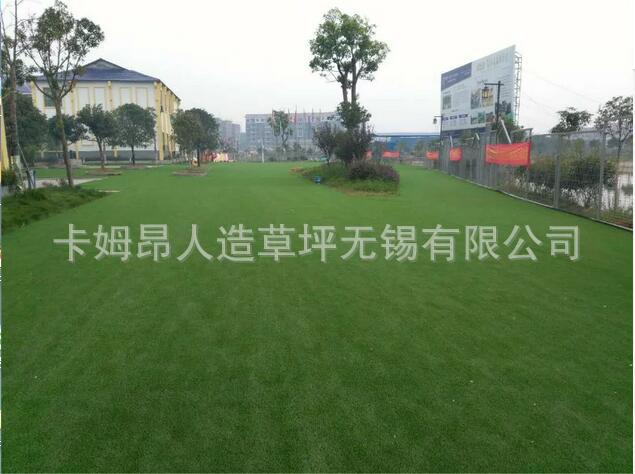 人造草坪足球场建设厂家 工程人造草坪