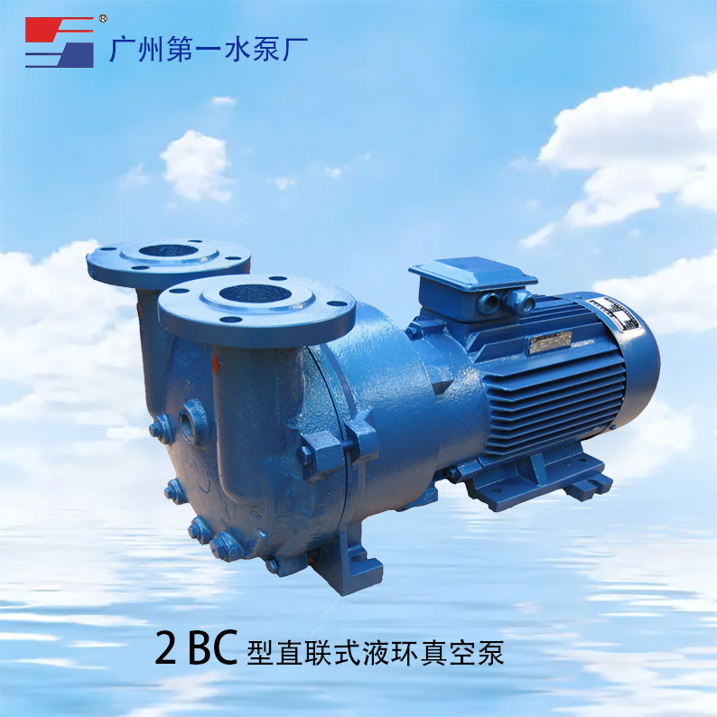 广一2BC直联式液环真空泵-广一水泵厂图片