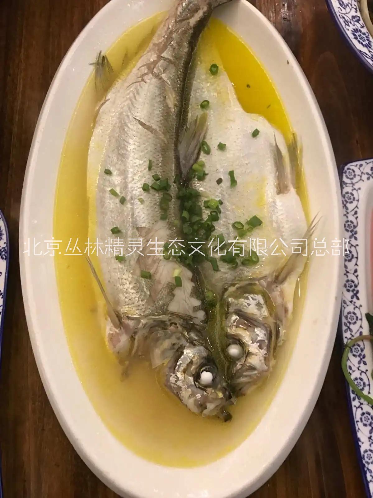 北京兴凯湖大白鱼销售