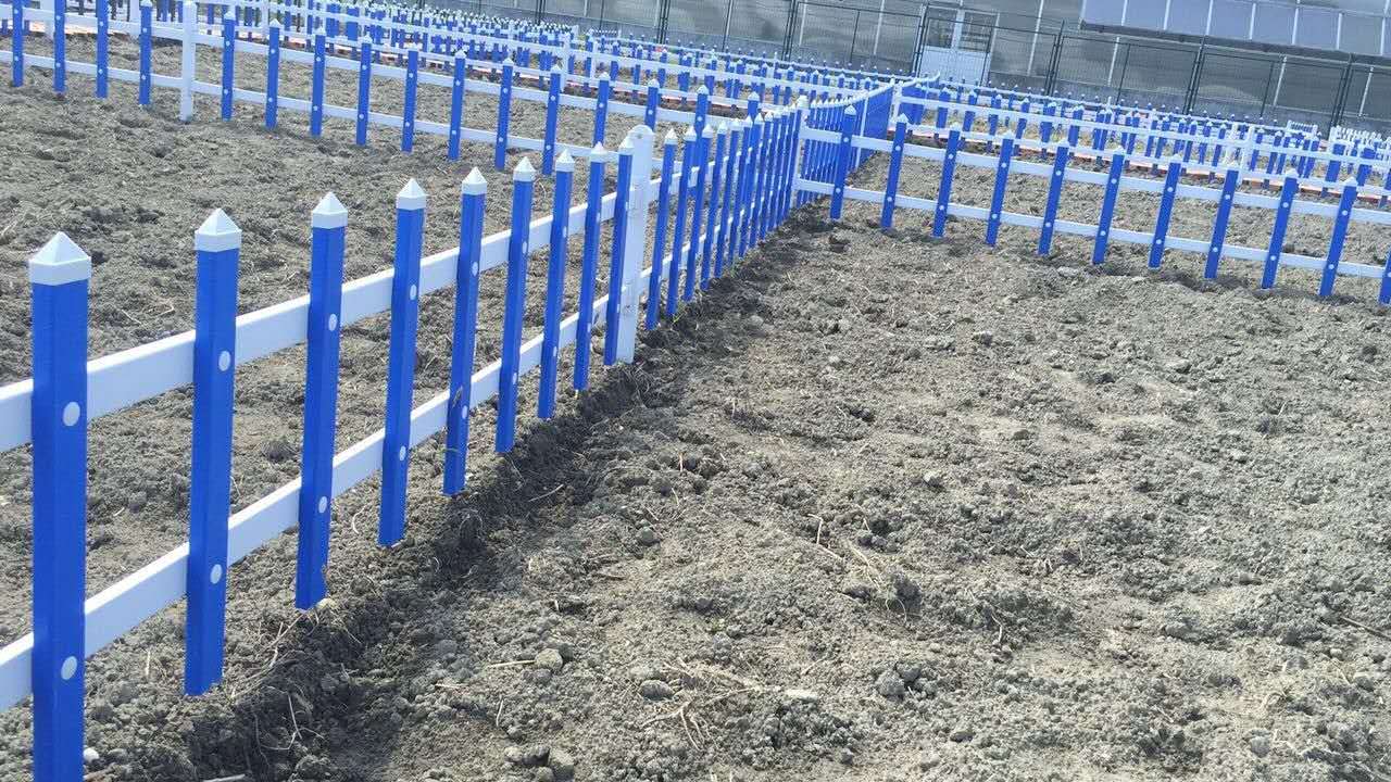 PVC草坪护栏报价 PVC草坪护栏价格  PVC草坪护栏厂家图片