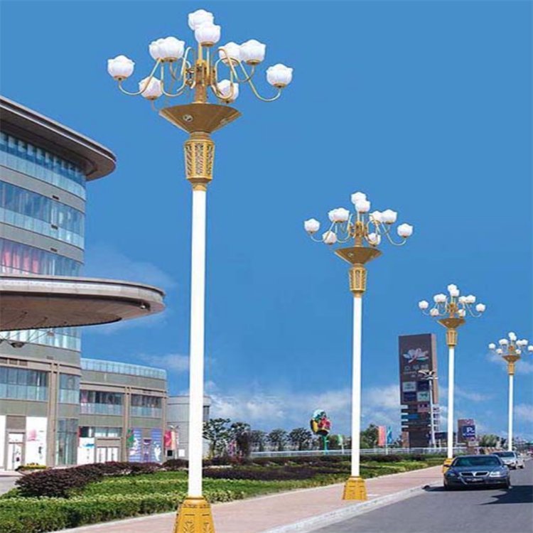 徐州异型景观路灯 不锈钢中华灯 8米组合礼花灯 10米芙蓉灯图片
