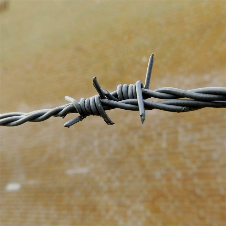 北京现货双股刺绳厂家供应怀柔不锈钢刺铁丝房山不锈钢有刺铁丝网
