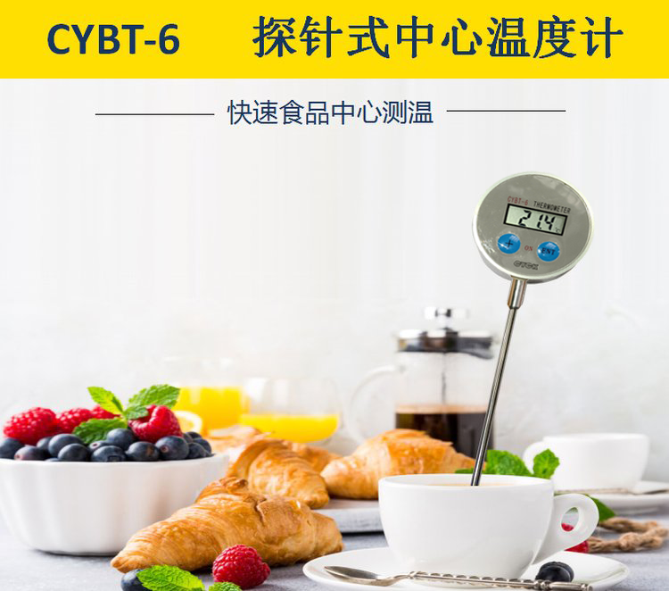 烟台市CYBT-6中心温度计厂家CYBT-6中心温度计测量空气环境液体温度果实食品内部温度