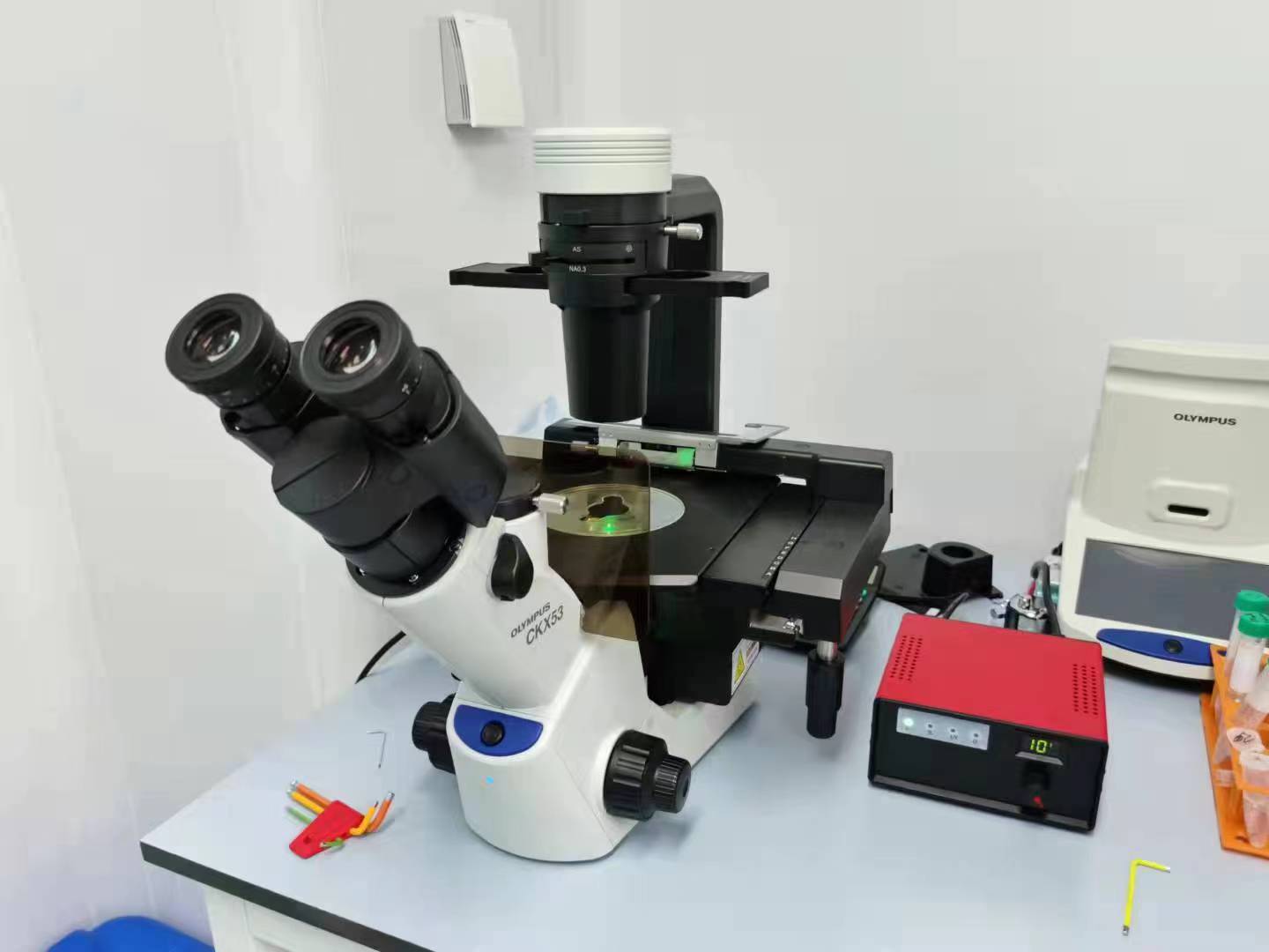 奥林巴斯倒置显微镜CKX53 倒置生物显微镜