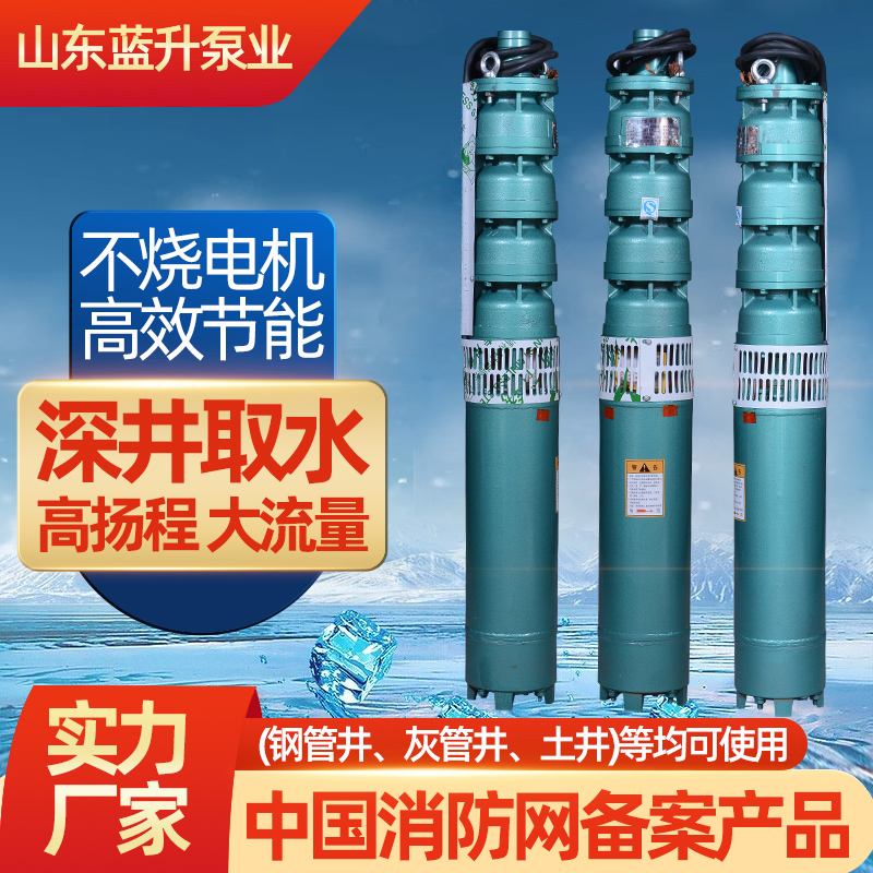 北京QJ深井泵价格 天津潜水泵厂家 高压多级深井泵农用 蓝升泵业