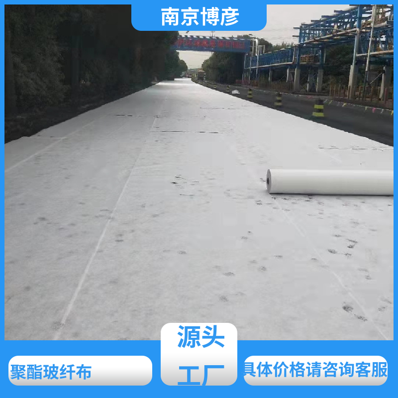 江苏聚酯玻纤布厂家   聚酯玻纤布 沥青路面 耐久性强度高 满足规格需求订做