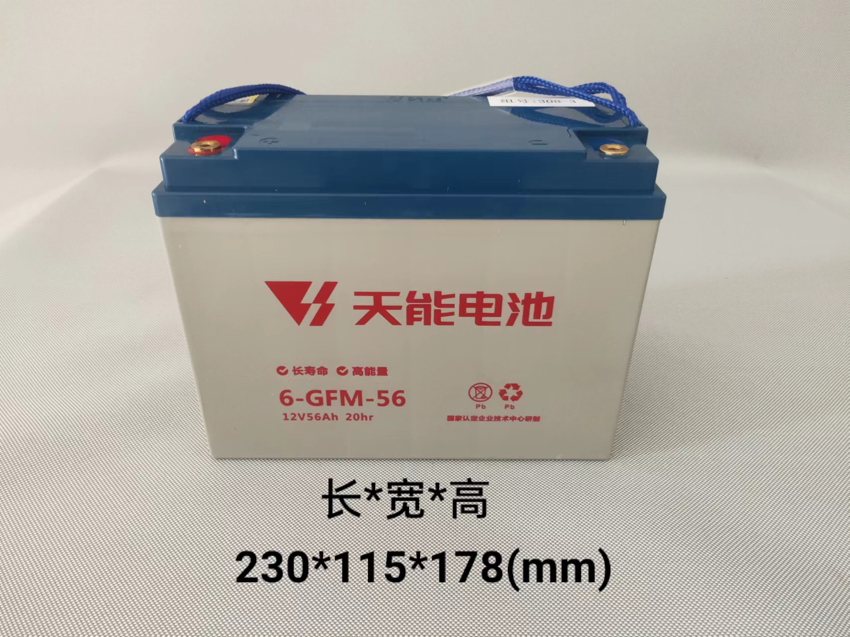 天能6-GFM-56铅酸免维护 蓄电池 电动三轮车叉车洗地机清洁车电池 12v 56ah图片